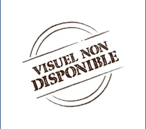 Le débat sur le retour de la « dénatalité » en France et sa perception entre 1974 et 1981